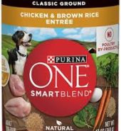 Purina Dog One Chicken & Brown Rice 13oz