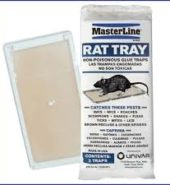 Masterline Rat Tray Glue Traps 2’s