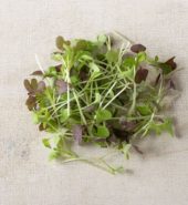 Micro Greens Spicy Micro Mix 30g
