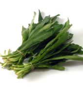 Green Organic Herbs Chadon Beni 20g