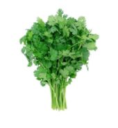 Central Growers Herbs Cilantro 25g