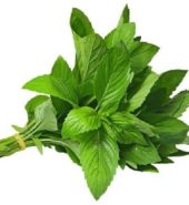 Central Growers Herbs Mint 20g