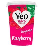Yeo/Val Organic Yogurt Raspberry 450g