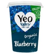 Yeo/Val Orgn Yogurt Bberry Fat Free 450g