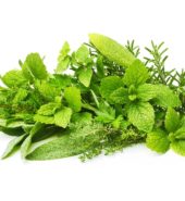 Central Growers Herbs Mixed Herbs 175g