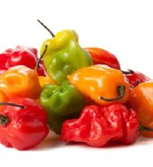 Central Growers Herbs Hot Peppers 30g