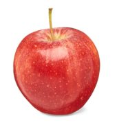 Gala Apples Small [Each]
