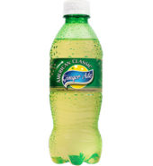 American Classic Ginger Ale 12oz