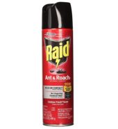 RAID Insect Killer Ant & Roach Outdoor 340g