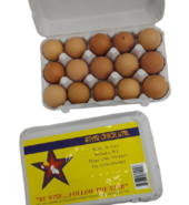 Star Chick Eggs 15s
