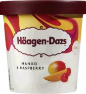 Haagen-Dazs Ice Cream Mango 460ml