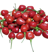 Eden Organic Peppers Wiri-Wiri  2oz
